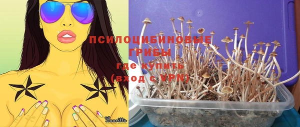 а пвп мука Белокуриха